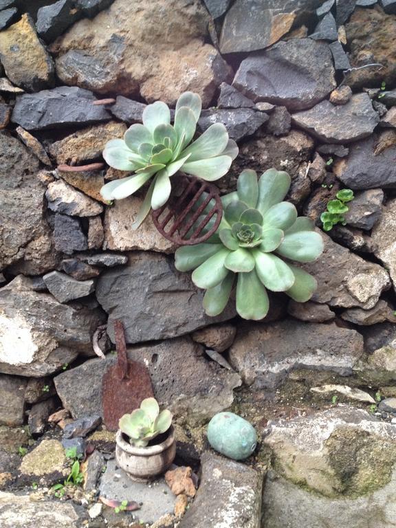 Casa Escaleritas Séjour à la campagne *